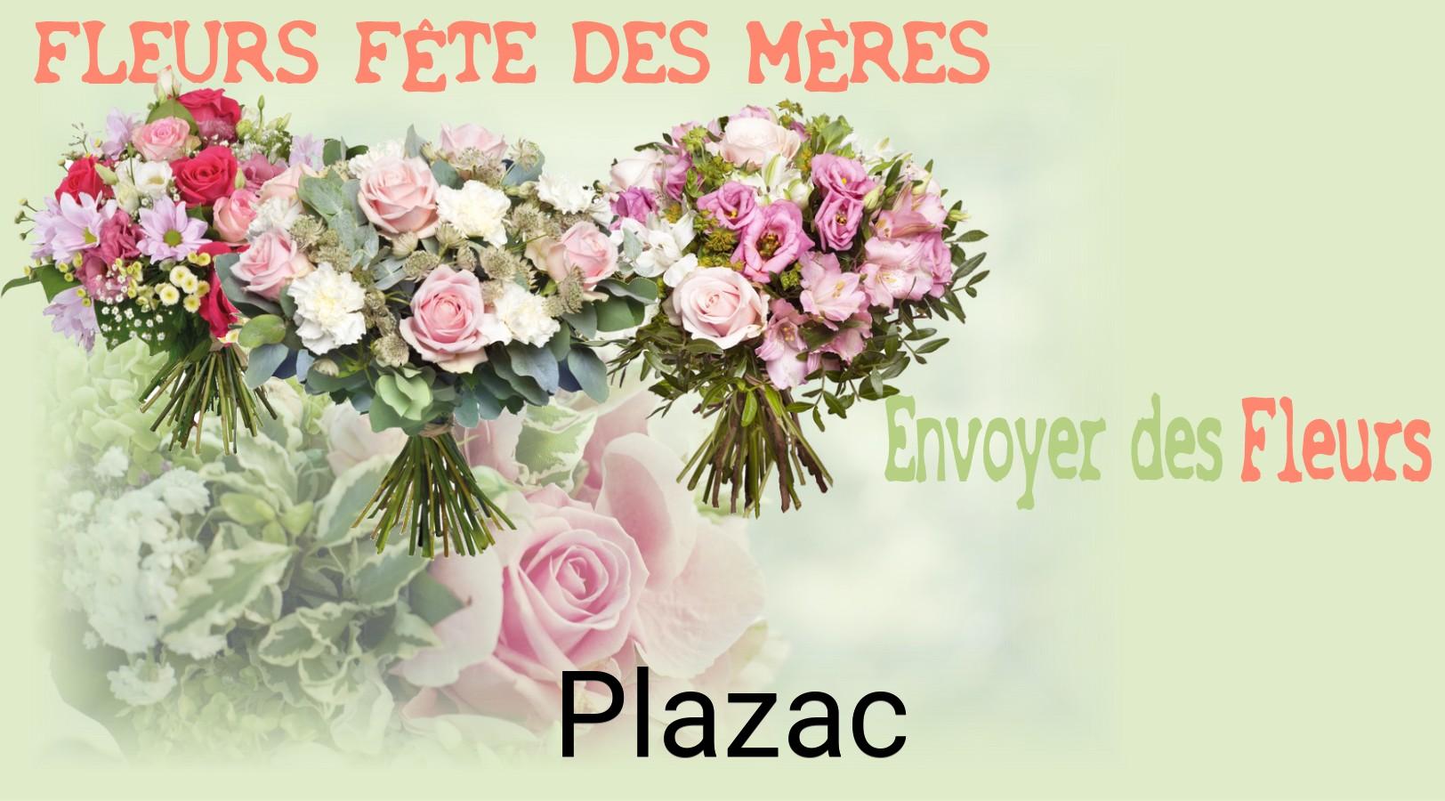 Bouquet de Fête des Mères livré à Plazac